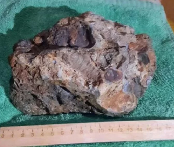 Свердловчанин просит миллион рублей за найденный метеорит: внеземной камень он нашел в лесу | На Урале мужчина нашел метеорит в лесу: теперь хочет за него миллион