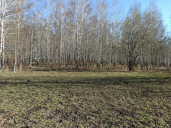 Жители Первоуральск пожаловались на сломанные сооружения в Корабельной роще 