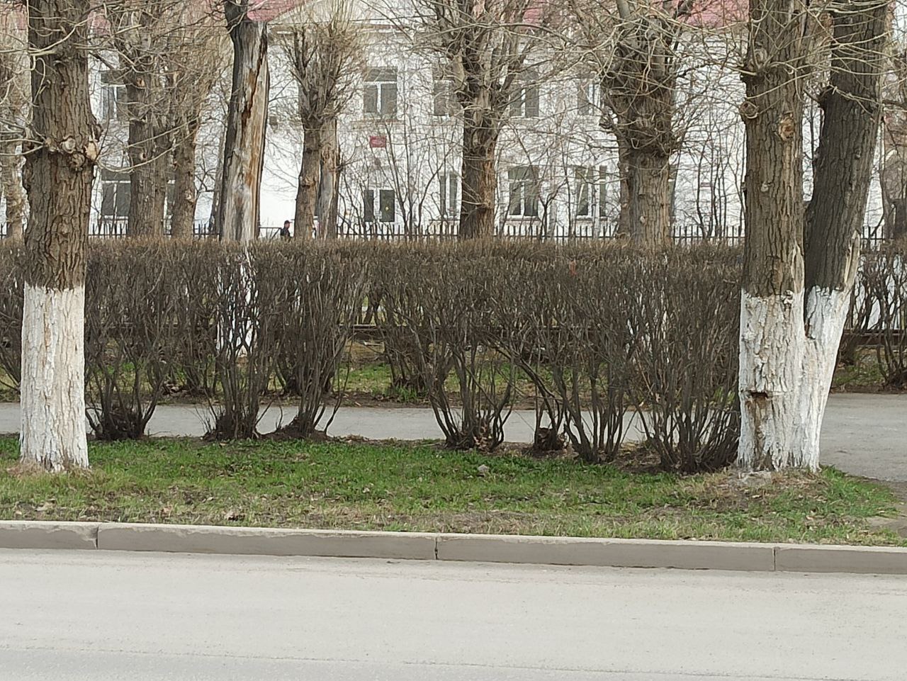 С улиц Первоуральска вывозят мешки с последствиями субботников