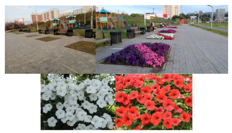 В Первоуральске высадят почти 20 тысяч цветов за 3,9 млн рублей | Около 20 тысяч цветов планируют высадить в Первоуральске