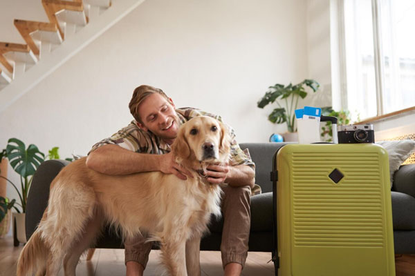 Почему собаки пьют из унитаза и чем это грозит: инфекционист бьет тревогу — вы рискуете здоровьем питомца Почему собаки пьют из унитаза и чем это грозит: инфекционист бьет тревогу — вы рискуете здоровьем питомца