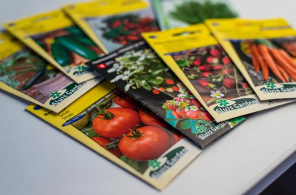 Капуста «Антикиллер» и «Безрассадный» томат под запретом: Россельхознадзор выявил нарушения при реализации семян | Свердловский Россельхознадзор нашел нарушения при реализации семян овощей на маркетплейсах