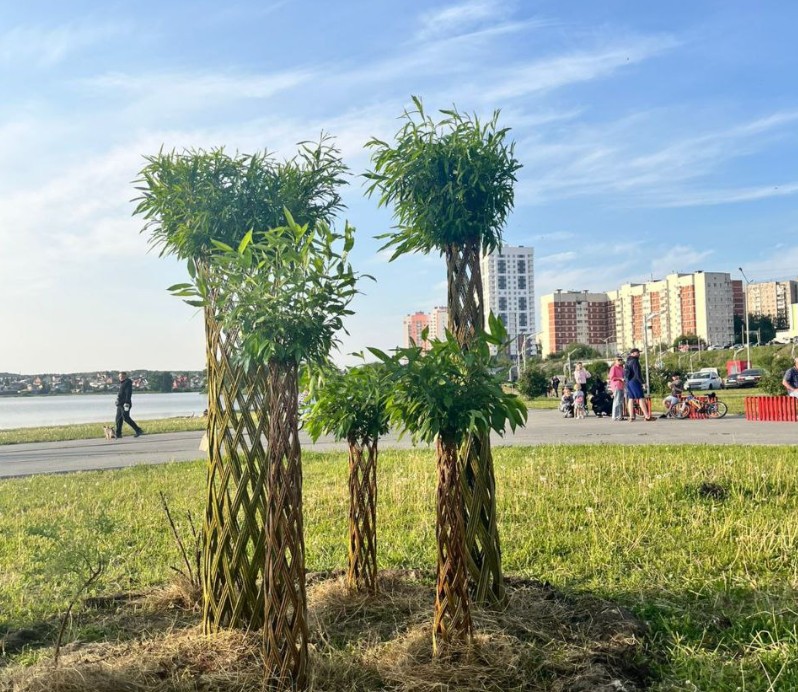 На набережной Первоуральска высадили ивы: в городе прошла акция по благоустройству | В Первоуральске волонтеры высадили ивы на набережной