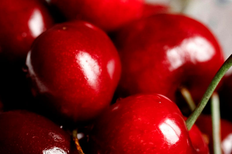 Эксперты рассказали о самых полезных ягодах | Проект "Здоровое питание":  для укрепления здоровья стоит есть вишню и облепиху