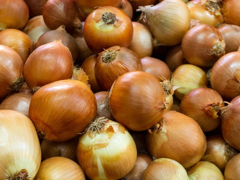 Народные приметы на 31 октября 2025 года и рекомендации по здоровью и безопасности | 31 октября в России отмечают Луков день