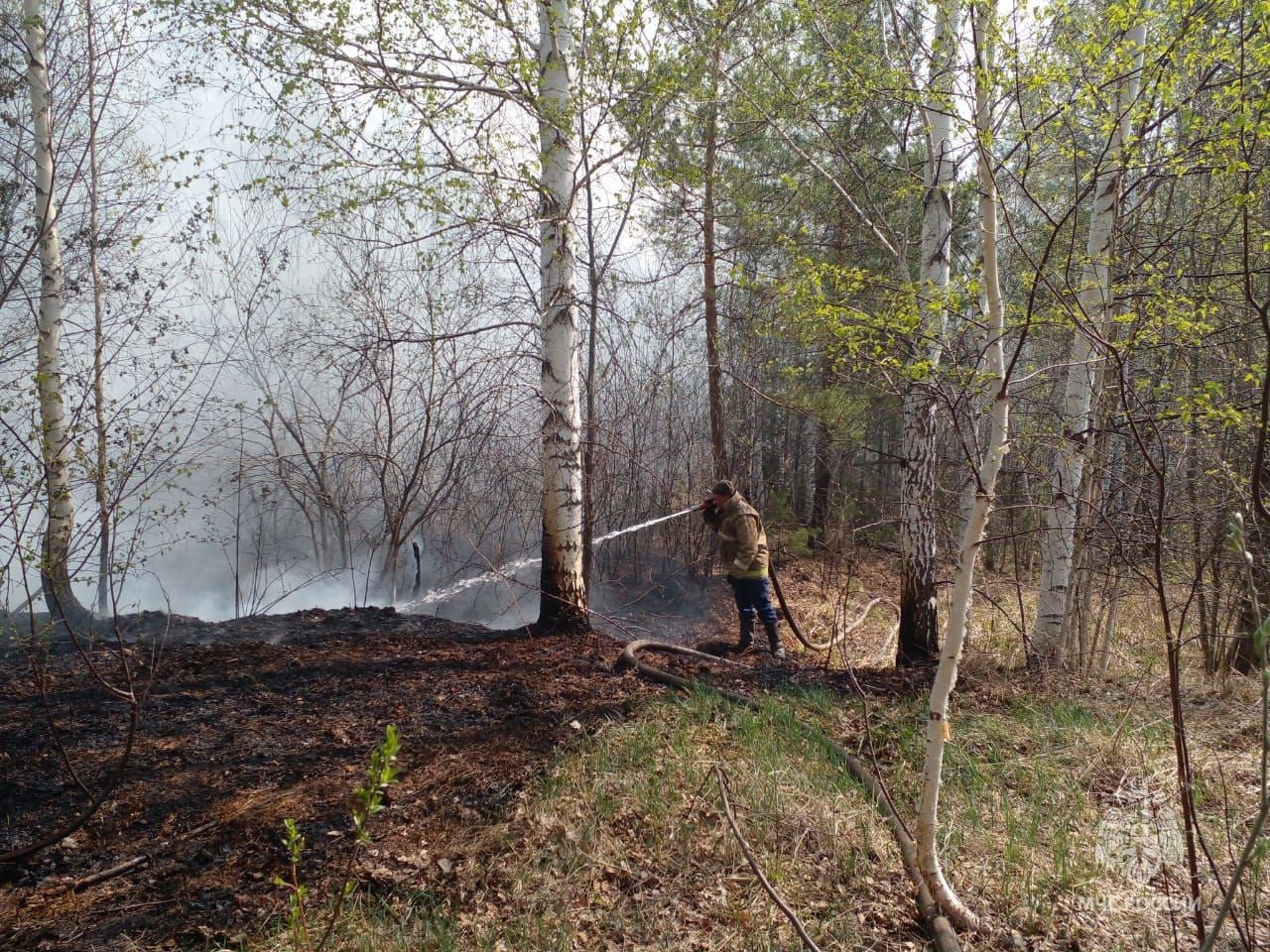 Под Первоуральском локализовали ещё один природный пожар Под Первоуральском локализовали ещё один природный пожар