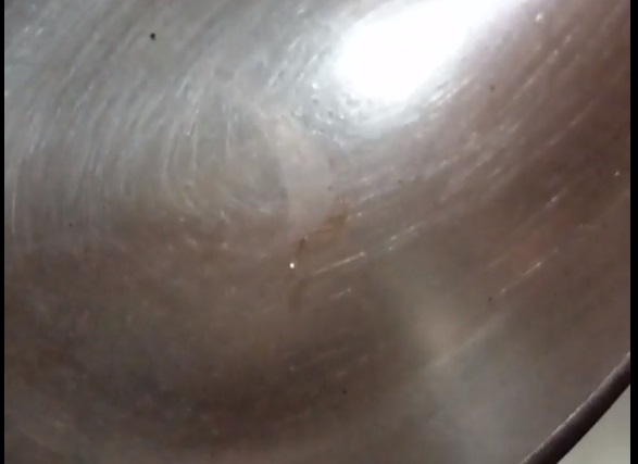 Первоуральцев напугала живность в водопроводной воде Первоуральцев напугала живность в водопроводной воде