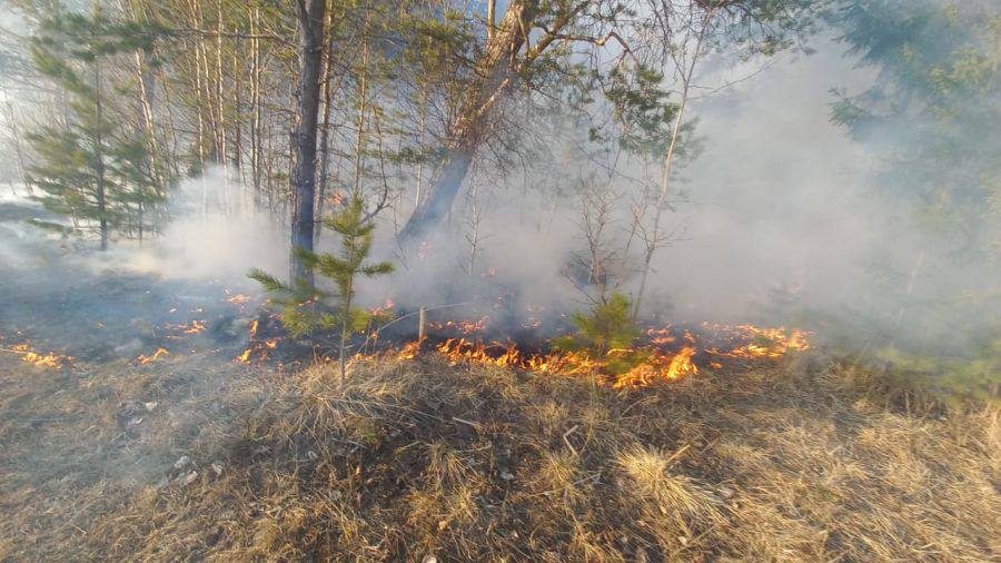 В лесах под Первоуральском ликвидировали лесные пожары