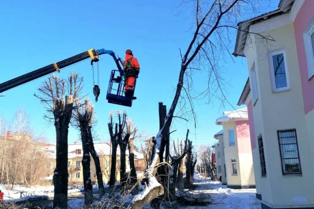 С начала зимы в Первоуральске кронировали более 200 деревьев | На Урале зимой специалисты занимаются кронированием деревьев