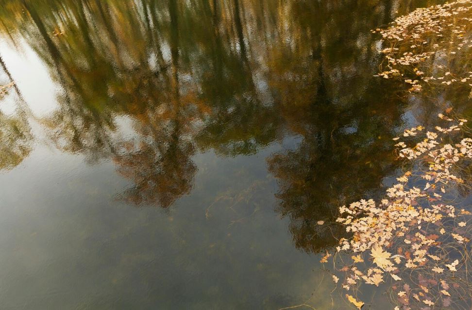 Иван Купала: гадания, купания и костры