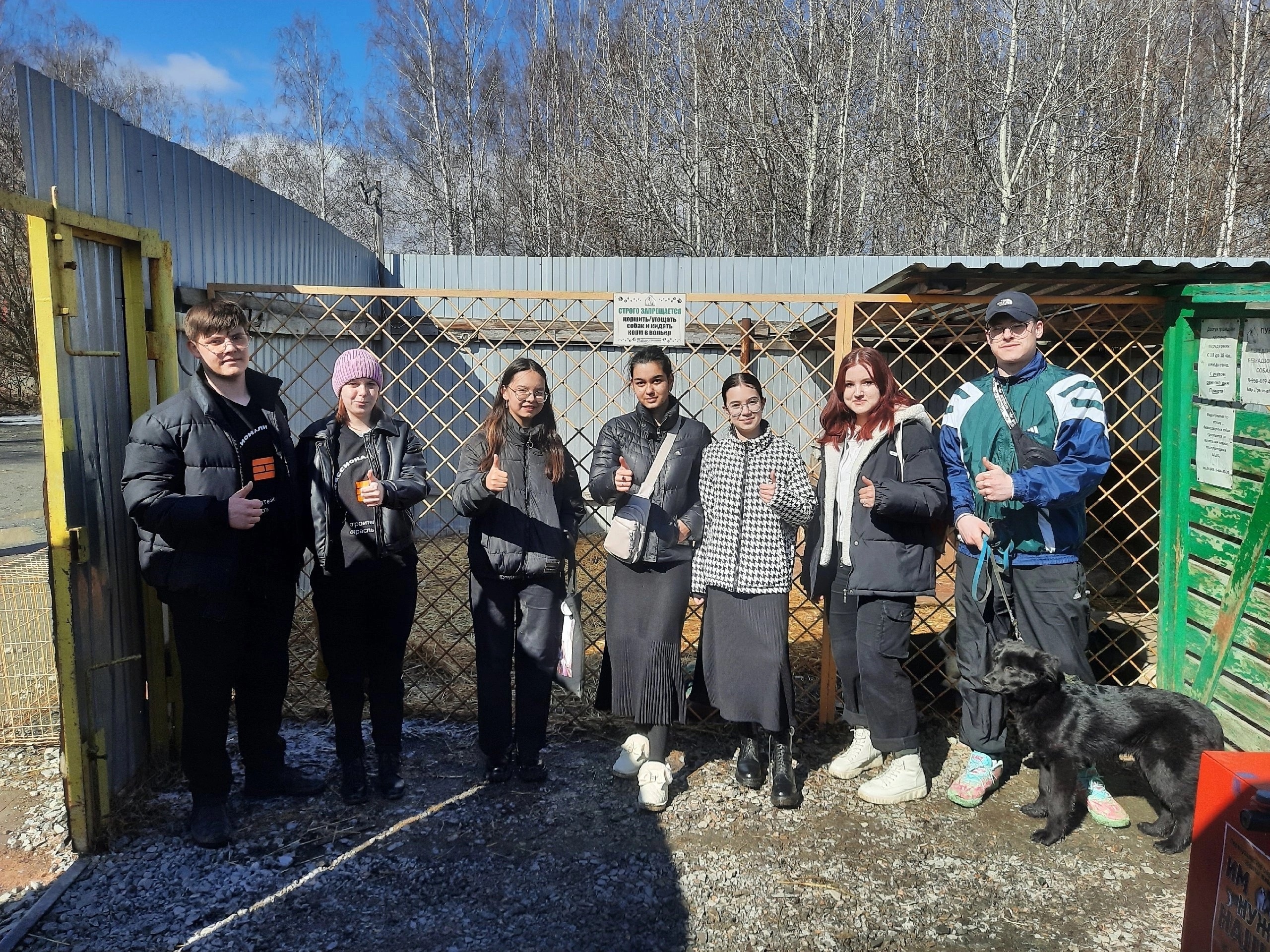 Активисты Первоуральска собрали помощь для бездомных животных | Активисты Первоуральска собрали помощь для бездомных животных во время благотворительной акции Активисты Первоуральска собрали помощь для бездомных животных | Активисты Первоуральска собрали помощь для бездомных животных во время благотворительной акции