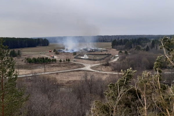Под деревней Крылосово потушили природный пожар