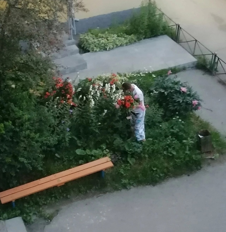 Первоуралец нарвал цветы в палисаднике и стал героем интернета Первоуралец нарвал цветы в палисаднике и стал героем интернета