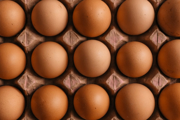 Эндокринолог рассказала о пользе куриных яиц | Врач Михалева рассказала, чем полезен яичный белок