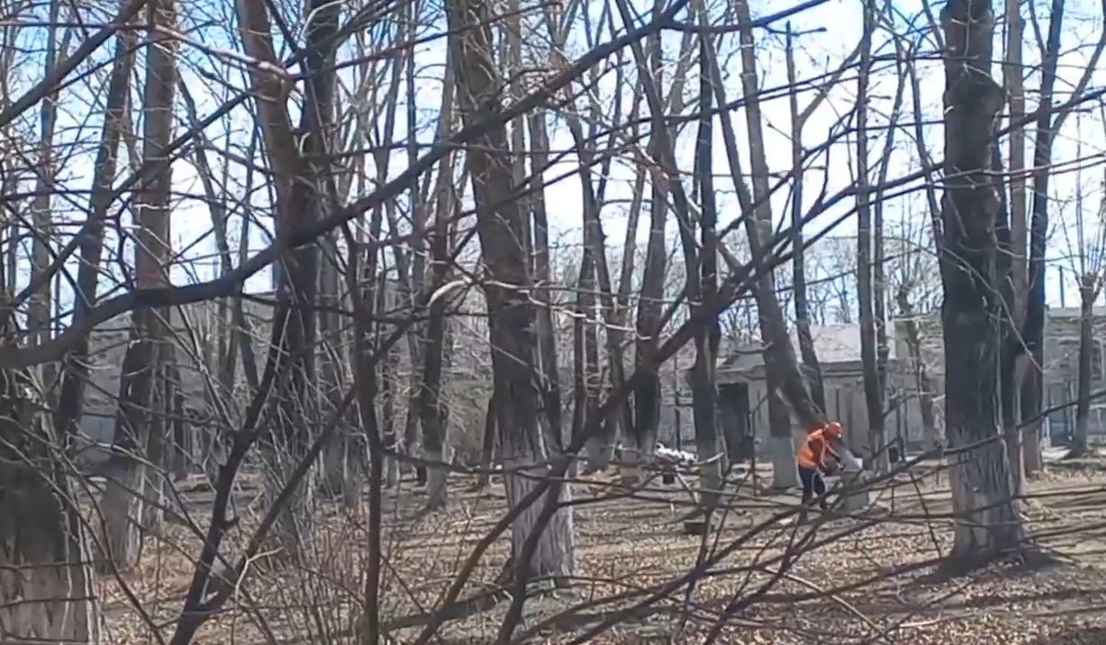 В парке ДК имени Ленина началась реконструкция В парке ДК имени Ленина началась реконструкция