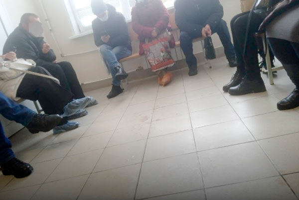 Первоуральцы жалуются на большие очереди к врачу