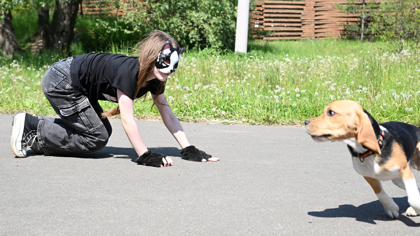 В России предложили запретить квадроберов | В России хотят запретить субкультуру квадроберов