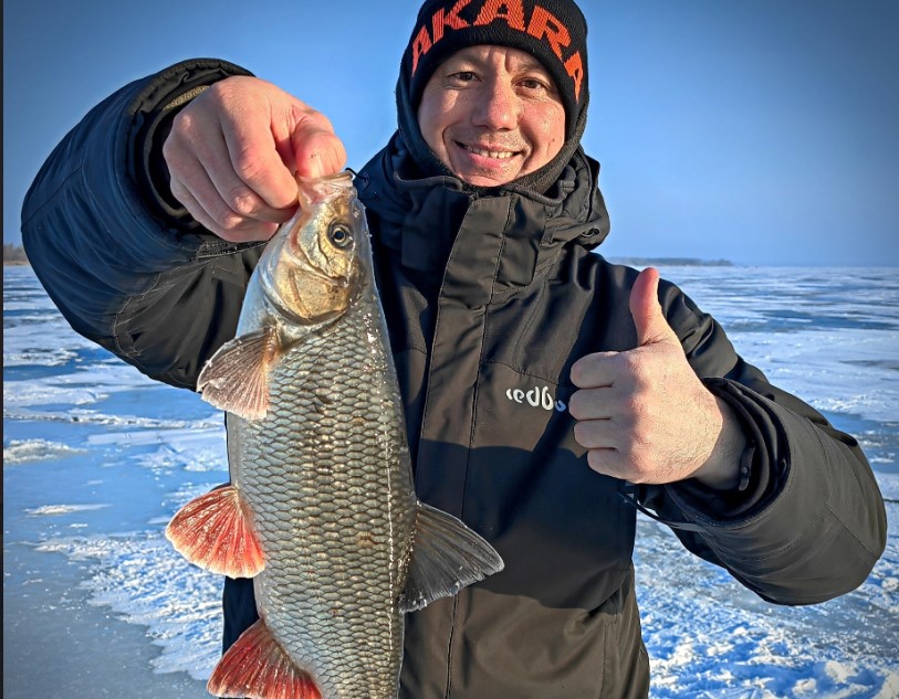 «Язь! Здоровенный!»: на Урале рыбак поймал около 8 килограмм язей и окуней | В Свердловской области рыбак наловил почти 8 килограмм язей и окуней