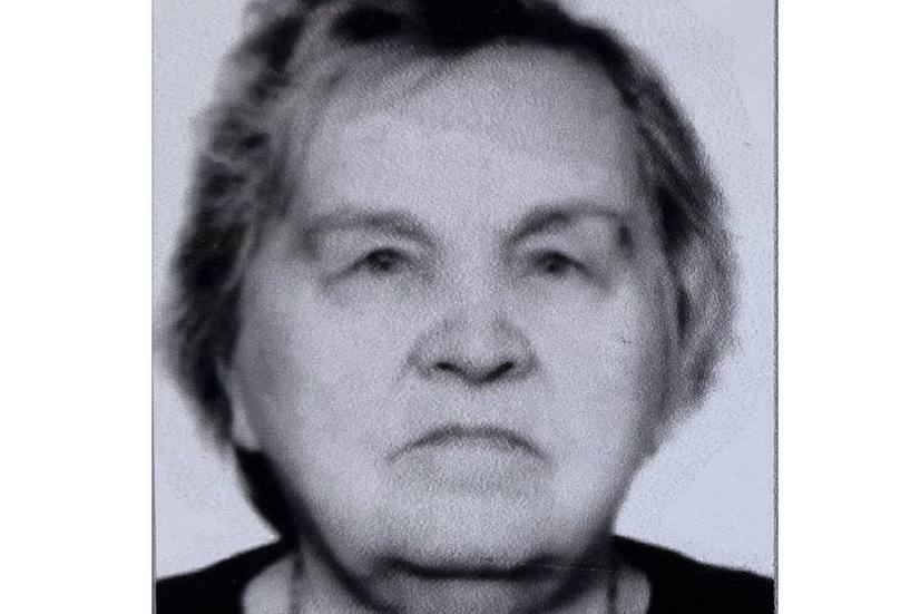 В Первоуральске избрали 67-го почетного гражданина муниципального округа | На Урале звание почетного гражданина присвоили труженице тыла в годы войны