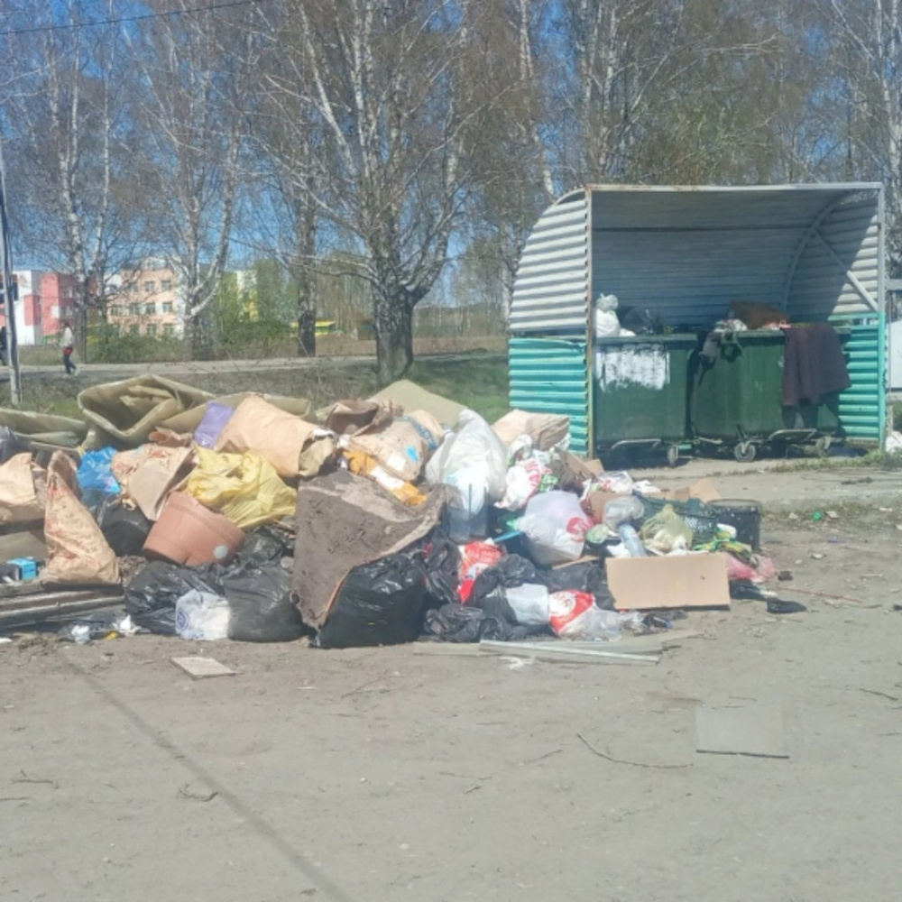 Реальность или иллюзия: роль современных камер для контроля за мусором | Реальность или иллюзия: роль современных камер для контроля за мусором