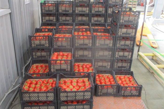 В Свердловской области таможенники выявили партию нелегальных томатов | Уральские таможенники обнаружили нелегальные томаты из Турменистана