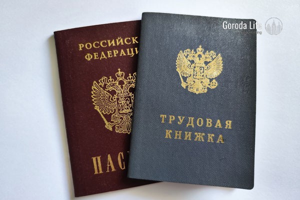 Депутаты от ЛДПР предложили налоговый вычет для россиян с низким доходом | Депутаты от ЛДПР предложили налоговый вычет для россиян с низким доходом