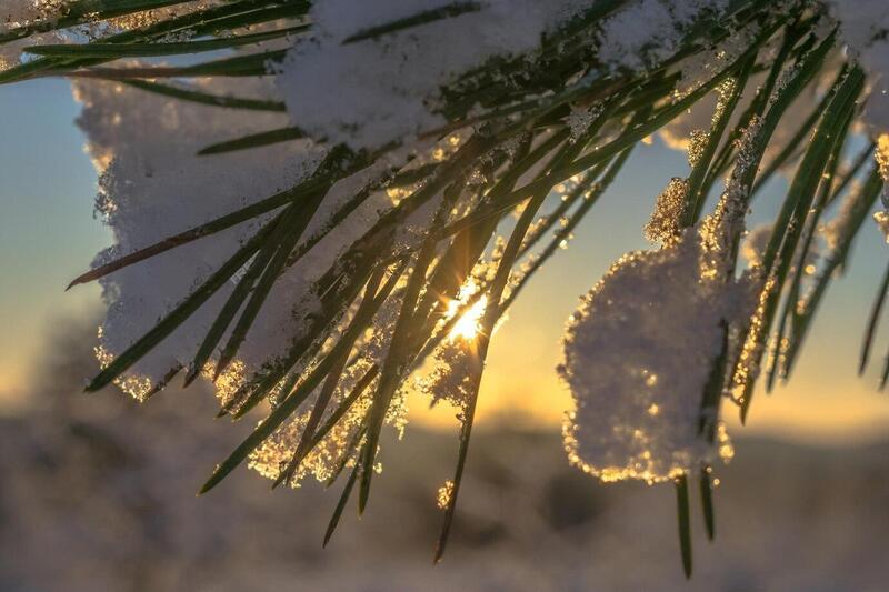 Теплая погода сохранится в Первоуральске до конца ноября | Потепление на Урале продлится до конца месяца