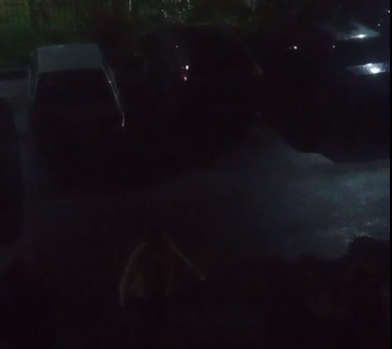 Жители Первоуральска жалуются на пьяную компанию, мешающую спать по ночам 