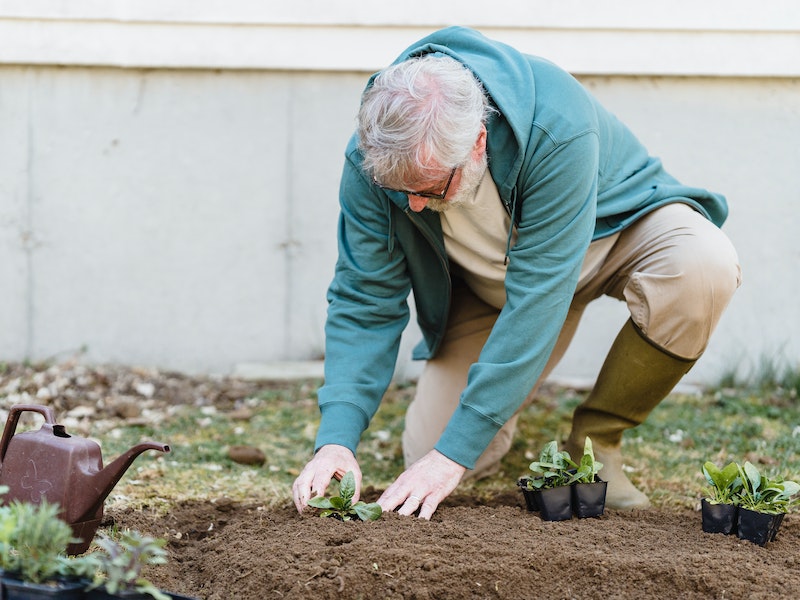 Земля сама родит, а вы только собирайте: секретное движение по кругу, о котором молчат профи Земля сама родит, а вы только собирайте: секретное движение по кругу, о котором молчат профи