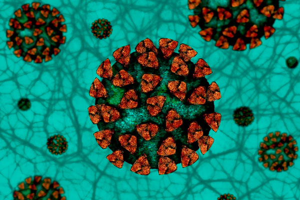 В Первоуральске за сутки зарегистрировано 50 новых случаев COVID-19