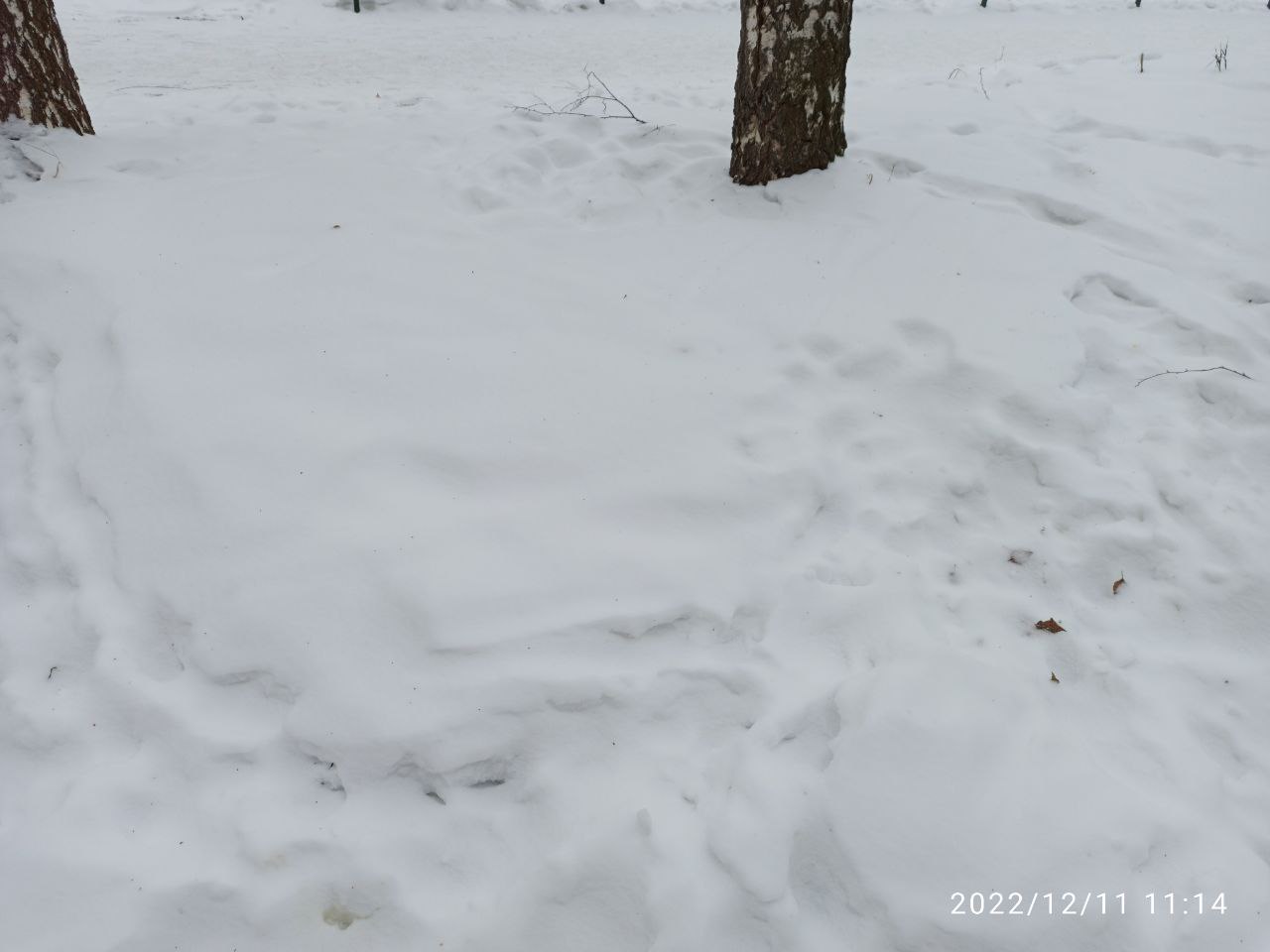 Первоуральцы обсудили, нужно ли убирать снег вместо дворников
