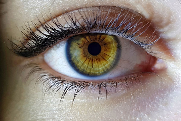 Витамины группы B спасают зрение при глаукоме: исследование шведских ученых | Ученые из Швеции выяснили, как витамины группы B предотвращают глаукому