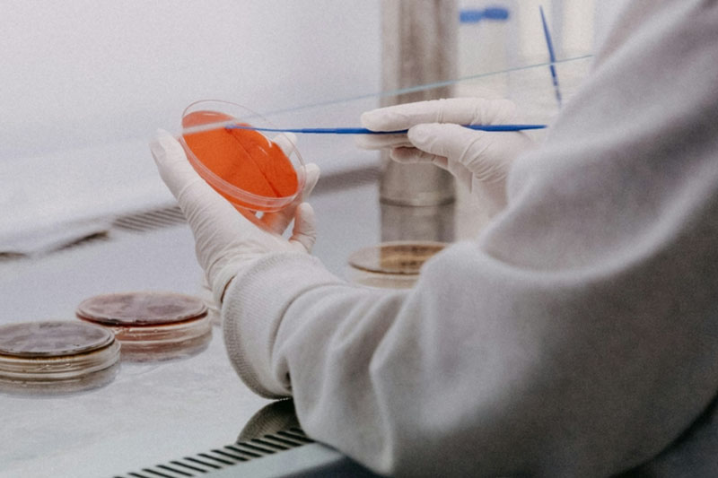 Прорыв в лечении фиброза печени: китайские ученые обнаружили вещество, помогающее при болезни | Ученые из Китая обнаружили способность кверцетина бороться с фиброзом печени Прорыв в лечении фиброза печени: китайские ученые обнаружили вещество, помогающее при болезни | Ученые из Китая обнаружили способность кверцетина бороться с фиброзом печени