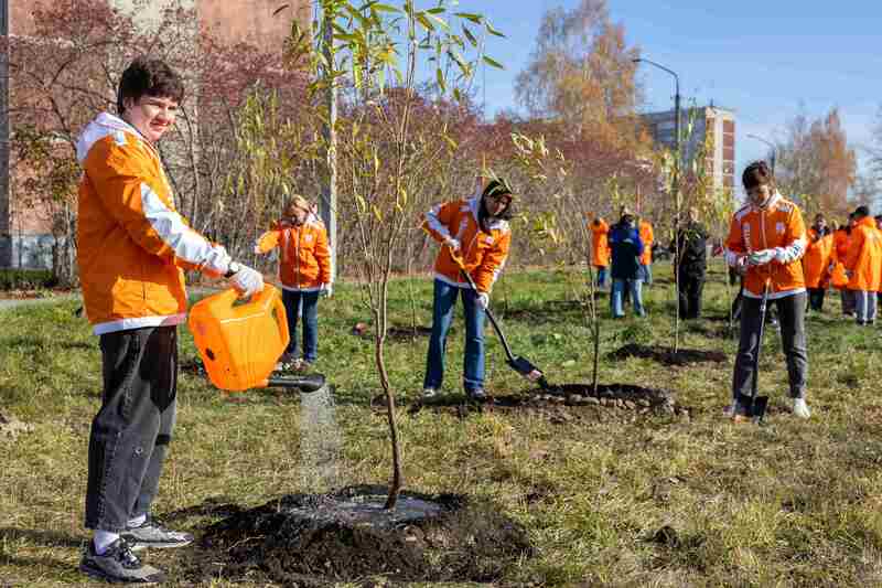 «Зеленая инициатива ТМК»: ПНТЗ высаживает 4,5 тысячи деревьев в Свердловской области | Сотрудники ПНТЗ высадили 30 тысяч саженцев «Зеленая инициатива ТМК»: ПНТЗ высаживает 4,5 тысячи деревьев в Свердловской области | Сотрудники ПНТЗ высадили 30 тысяч саженцев